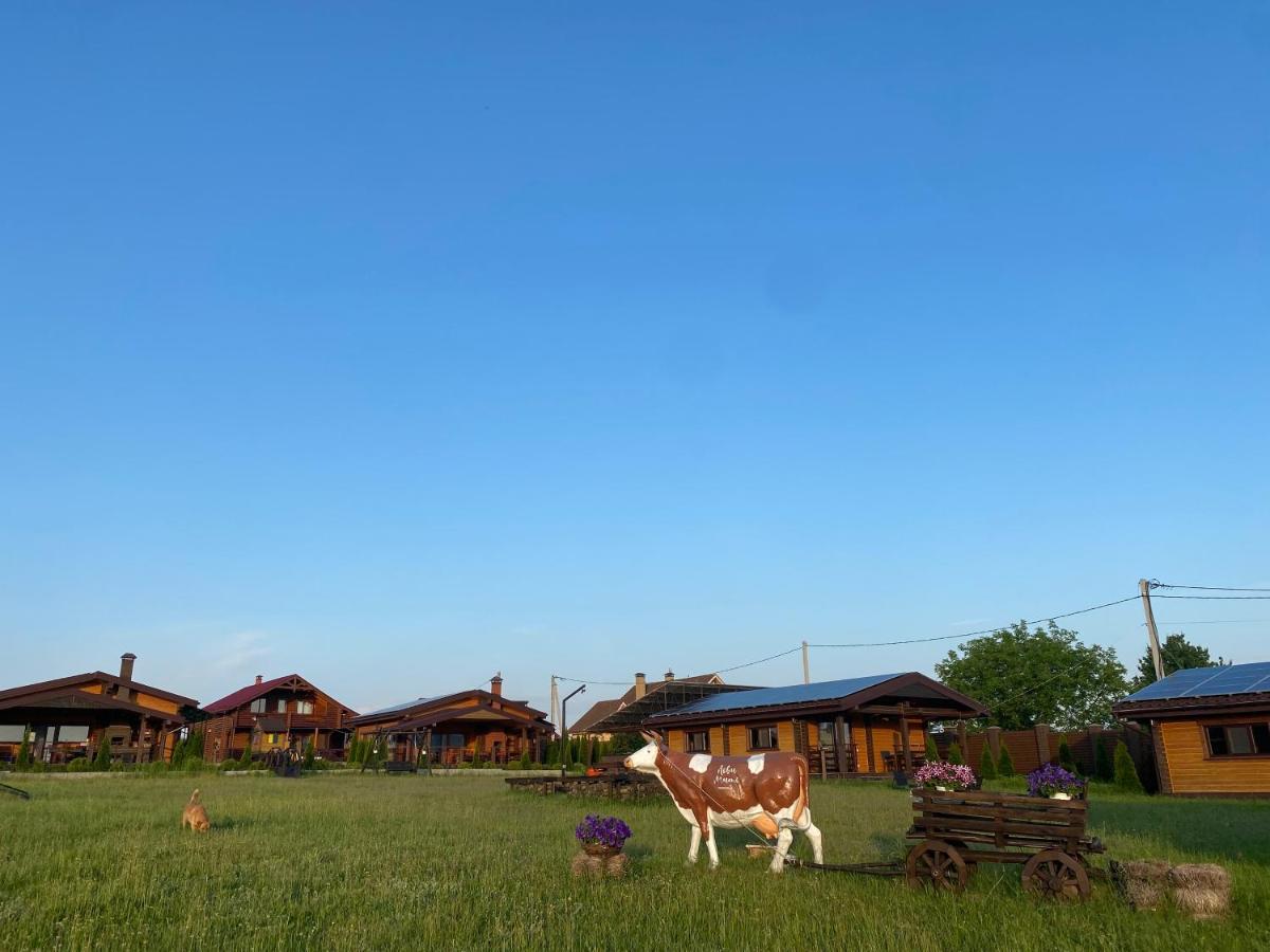 Хомене Villa Rzhyshchiv Eksteriør billede